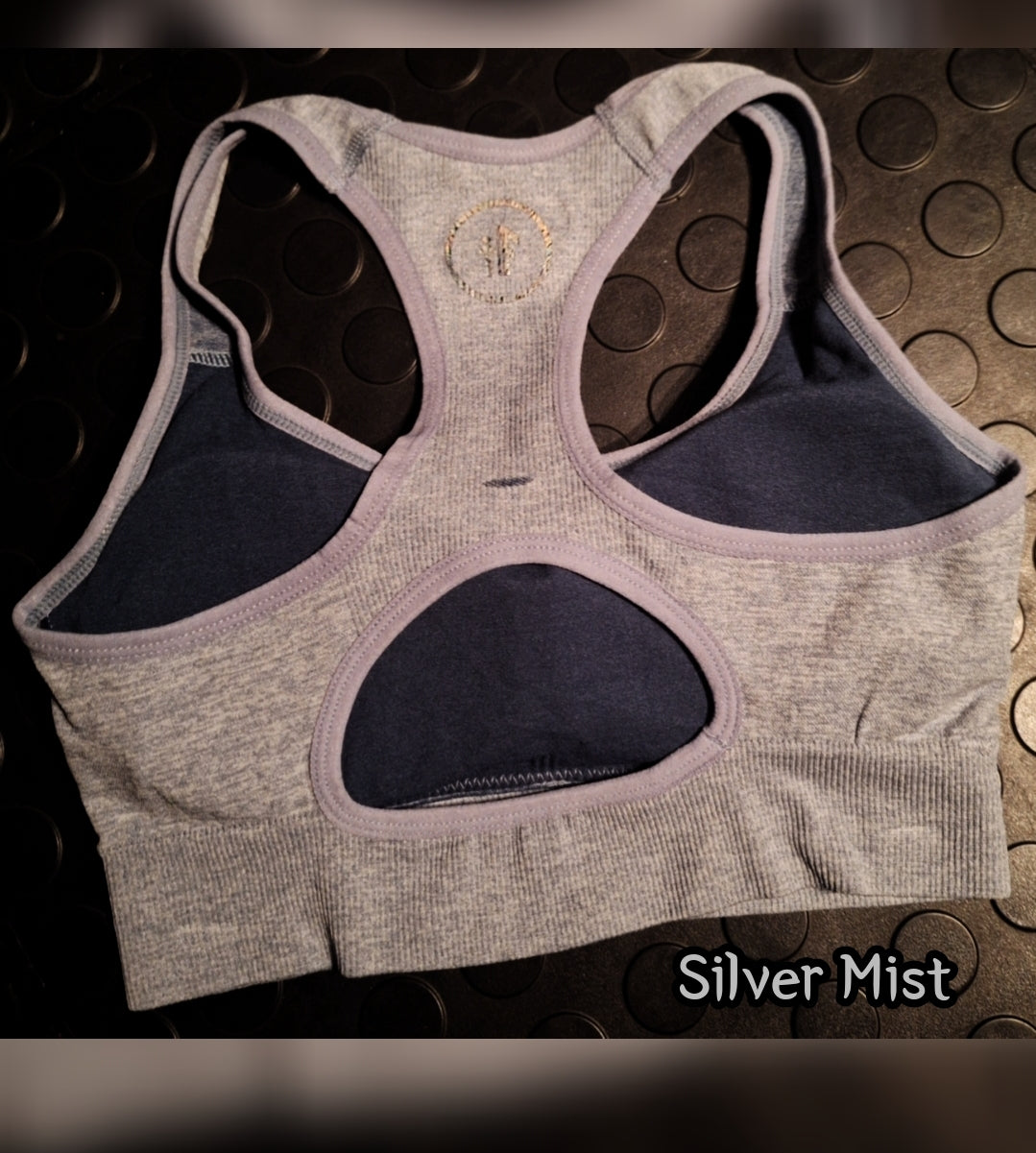 Silver Mist Sports Bra