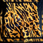 Mustard Zebra Short Tight