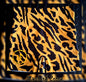 Mustard Zebra Short Tight