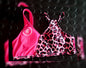 Neon Duo Sports Bra