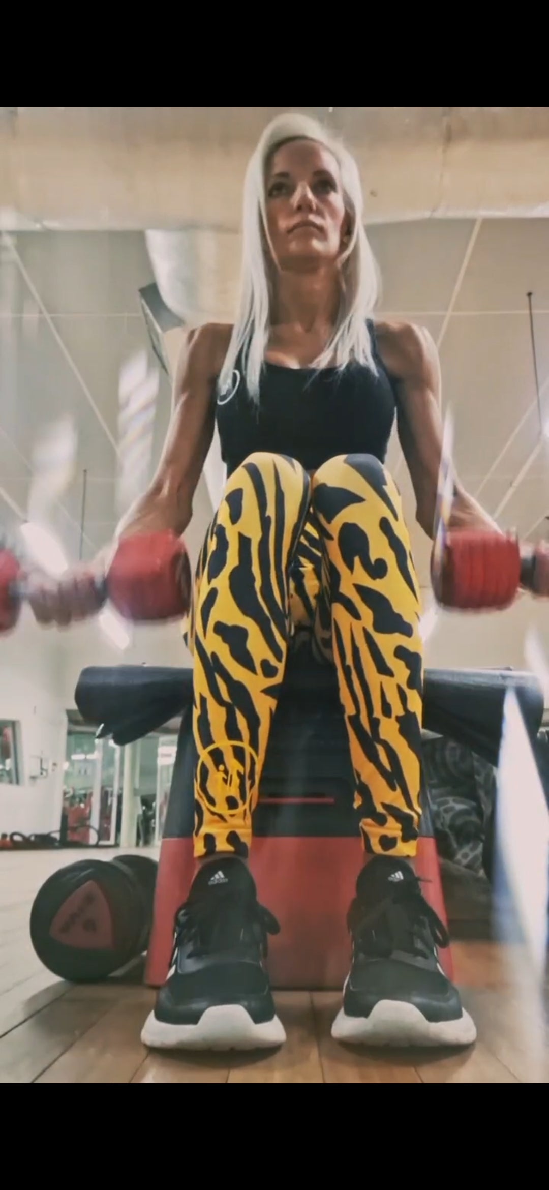 Mustard Zebra