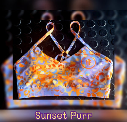 Sunset Purr