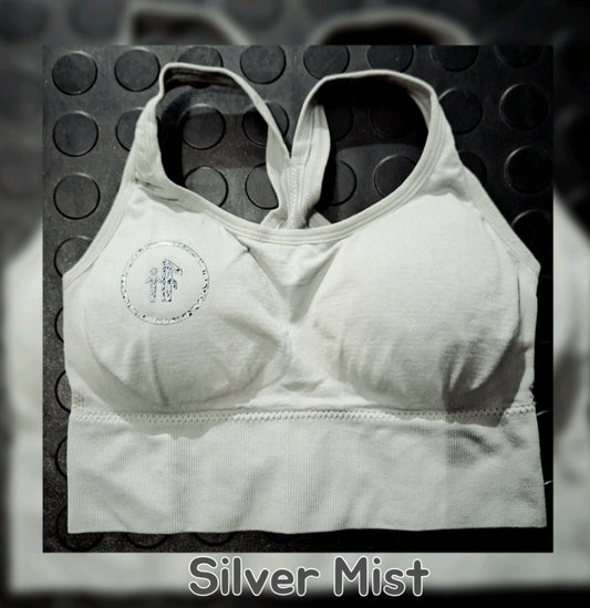 Silver Mist (Hook-and-eye closure) Sports Bra