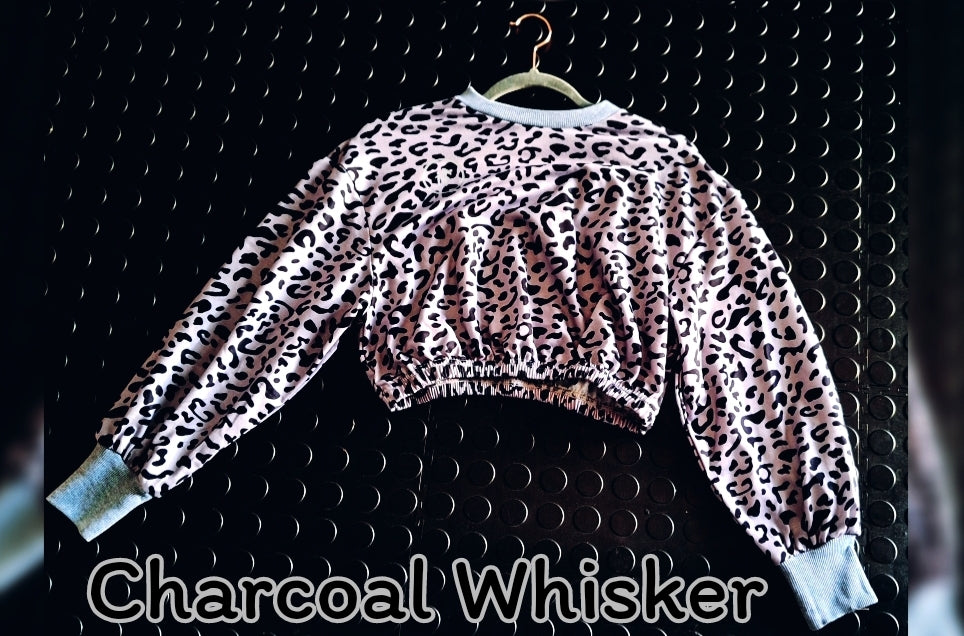 Charcoal Whisker Cropped Sweatshirt