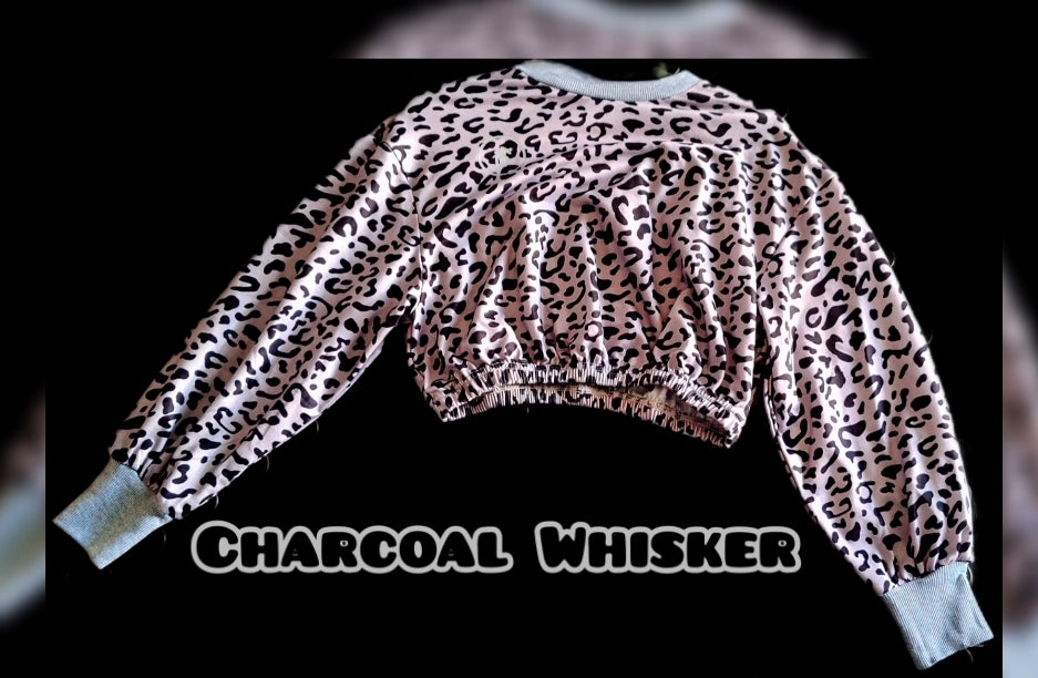 Charcoal Whisker Cropped Sweatshirt
