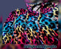 Jellybean Jungle Hoodie