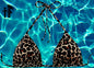 Coral Serengeti Bikini Top