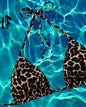Coral Serengeti Bikini Top