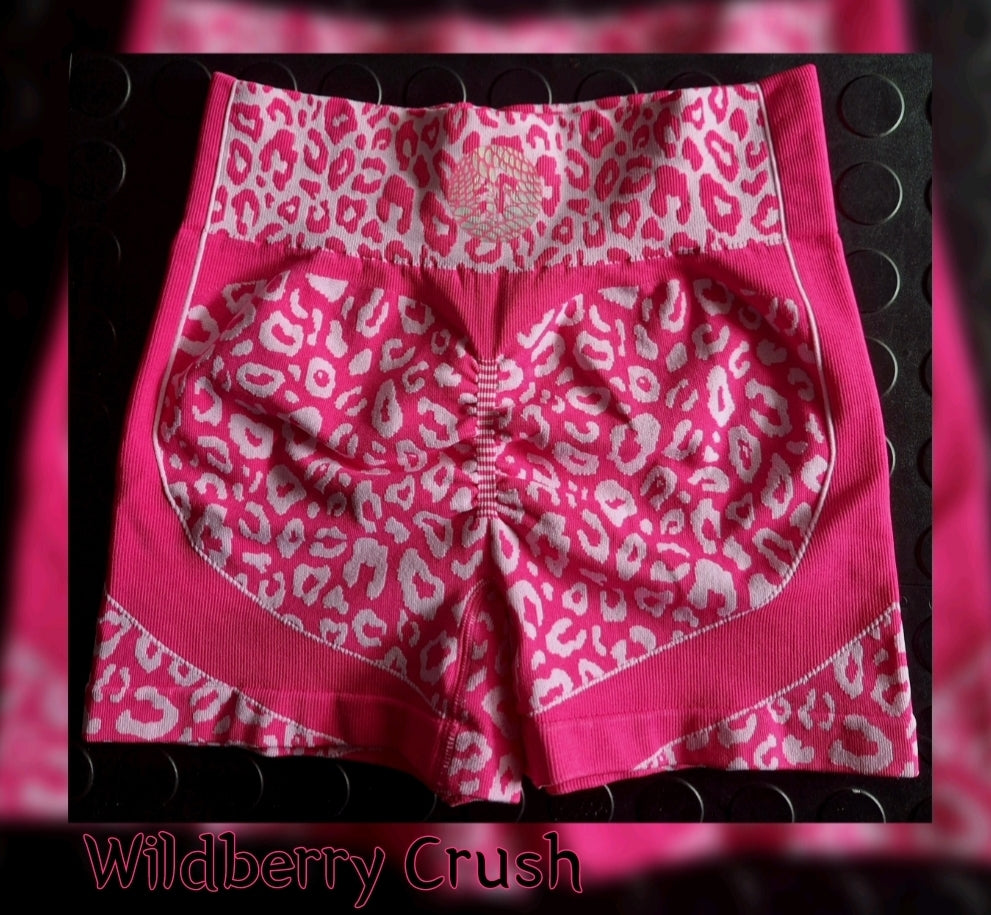 Wildberry Crush Short Tight